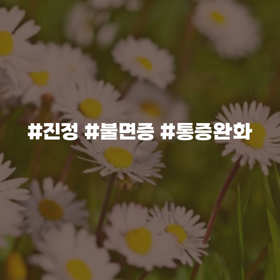 에센셜오일 카모마일로먼 Chamomile Romano E.O, 카모마일로먼 추천