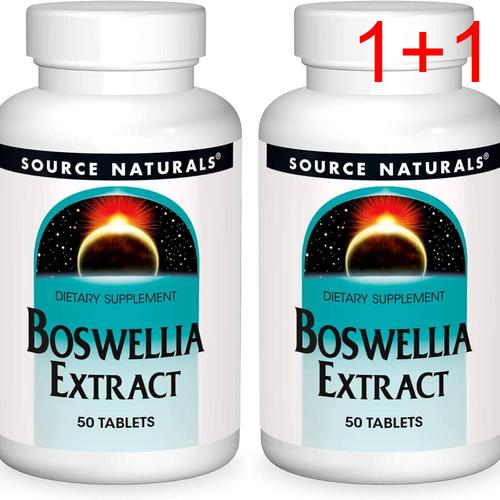 자체브랜드 소스내츄럴스 보스웰리아 보수엘리아 Boswellia Source Naturals 추천